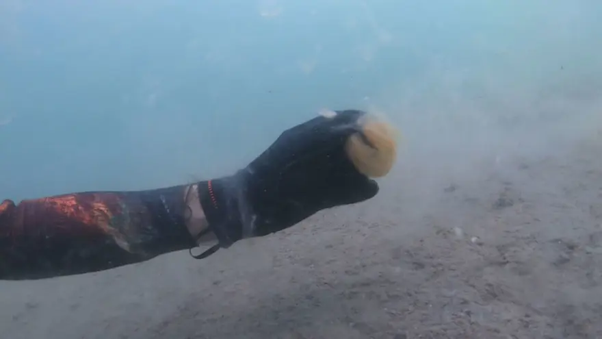 Deniz dibini saran 'Deniz salyası' görüntülendi 6