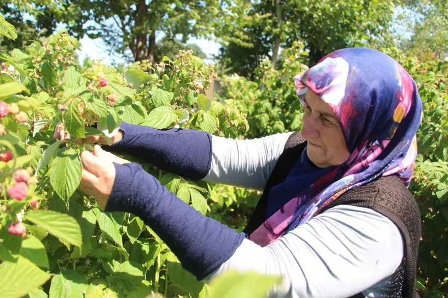 26 yaşında kendi işinin patronu oldu: 3 yıl önce kurdu; "İstediğin kadar ye, aldığın kadar öde" 4 26 yaşında kendi işinin patronu oldu: 3 yıl önce kurdu; "İstediğin kadar ye, aldığın kadar öde" 4