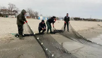 Marmara Denizi'nde müsilaj: Balıklar üzerinde etkisi var mı?