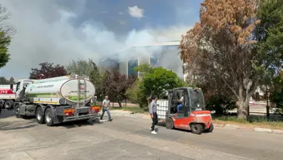 Tekirdağ'da fabrika yangını