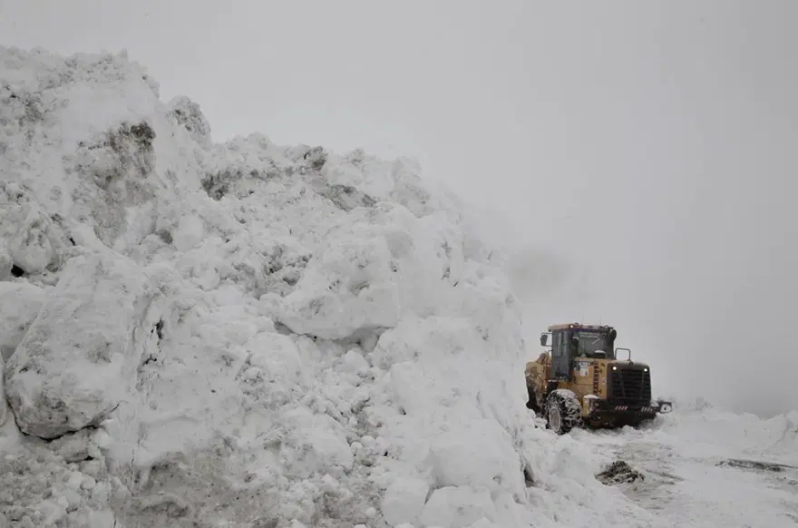 Haftanın fotoğrafları (6 Nisan 2019) 28