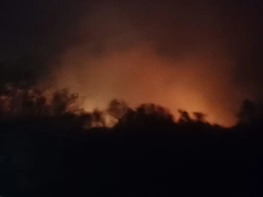 Trabzon'da orman yangınları 2