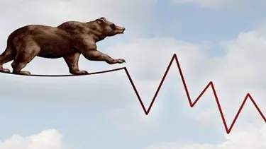 Borsa 'ayı piyasası'na girdi (Ayı piyasası nedir?)