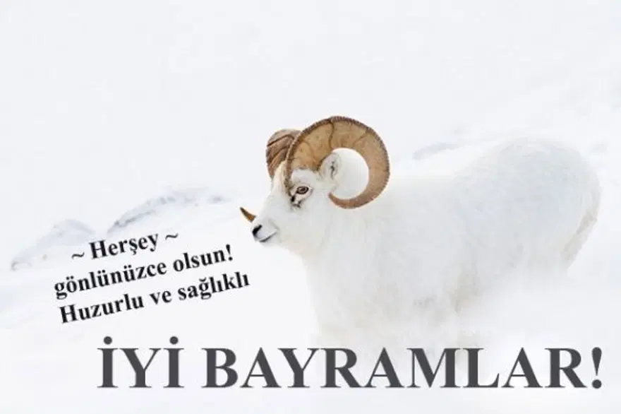 Bayram Mesajları 2025: Birbirinden anlamlı Kurban Bayramı kutlama ve tebrik mesajları ile sözleri 3