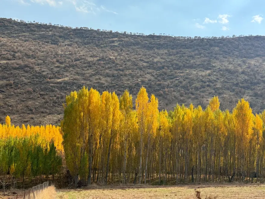 Mardin'de ortaya kartpostallık görüntüler çıktı! Her köşe başı tabloyu andırıyor 5