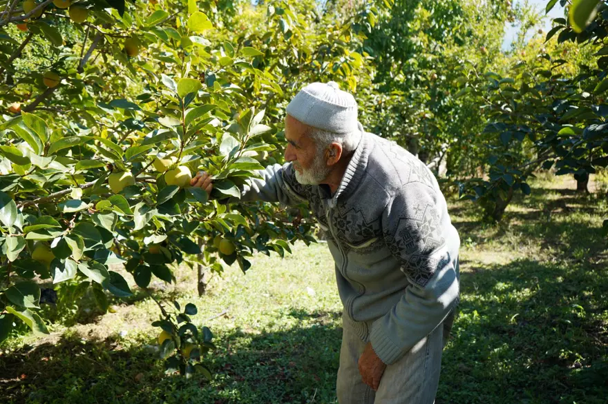85 yaşındaki İbrahim dedenin "Hayır Bahçesi": 30 yıldır ücretsiz dağıtıyor 
