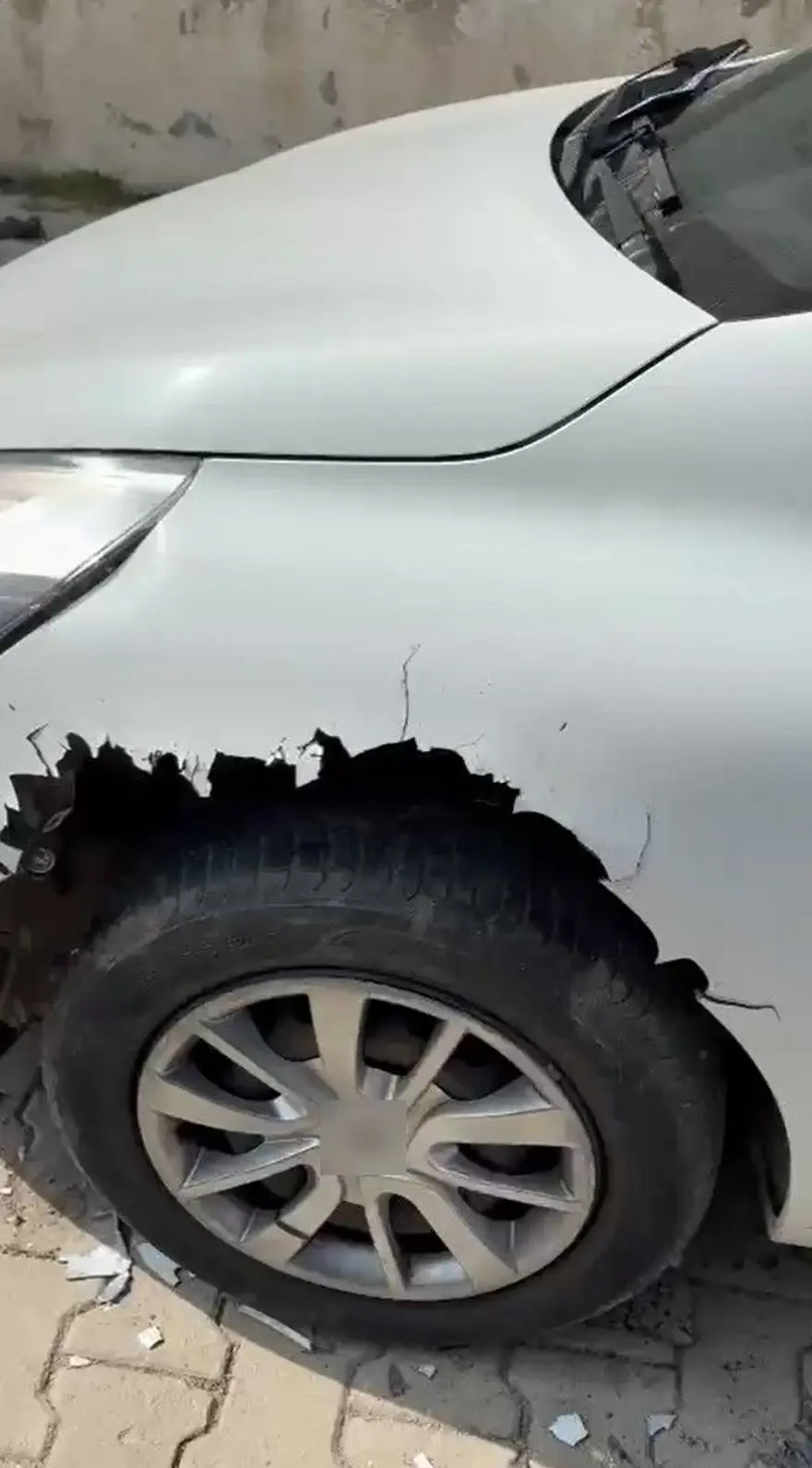 Sokak köpekleri otomobili paramparça etti: Hasarın bedelini belediyeden istedi 5 Sokak köpekleri otomobili paramparça etti: Hasarın bedelini belediyeden istedi 5