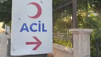 Ağaç üzerine devrilip öldü