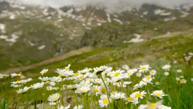 Gümüşhane'nin Artabel Gölleri'nden nefes kesen manzaralar: Osmanlı-Rus Harbi'nden kalma tarihi kalıntılar da var