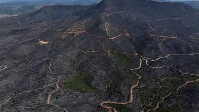 Menderes ve Seferihisar'daki yangından geriye siyah örtü kaldı