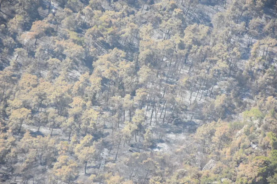 Kemer ilçesinde yanan alanlar havadan görüntülendi 14