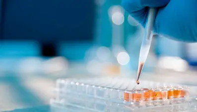 Yeni araştırma: İnternetten satılan zayıflama ilaçlarında zararlı madde tespit edildi