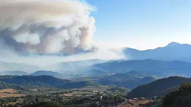 Suriye'deki orman yangını Hatay Yayladağı'na ulaştı