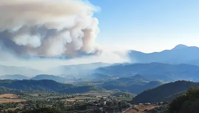 Suriye'deki orman yangını Hatay Yayladağı'na ulaştı