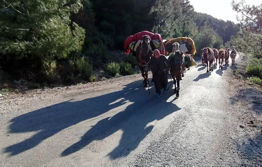 Yörüklerin 20 gün sürecek yaz göçü başladı 1