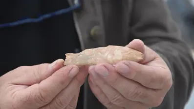 8 bin yıl öncesine ait balık figürü bulundu