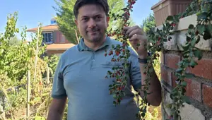 Doktor evinin bahçesinde yetiştirdi: 30 farklı ağaç ve 30'un üzerinde bitki