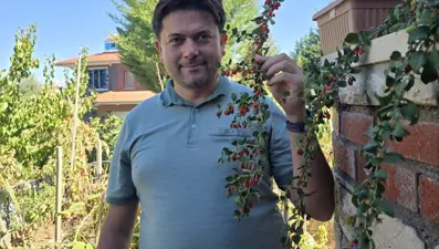 Doktor evinin bahçesinde yetiştirdi: 30 farklı ağaç ve 30'un üzerinde bitki