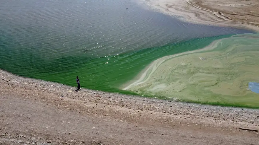 Baraj suyunun rengi yeşile döndü (İşte nedeni) 1