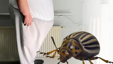 6 ay yemek yemiyorlar, şişmanlığa çare olabilir! Türk bilim insanlarının çalışması PNAS'ta yayımlandı