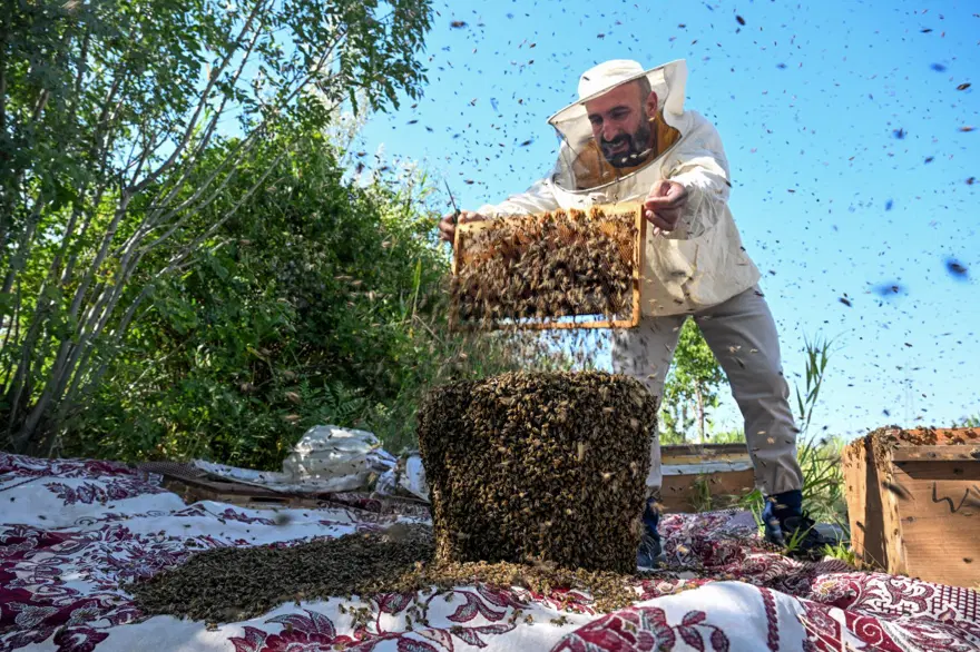 "Arı Adam"ın Guinness Rekorlar Kitabı hayaline ramak kaldı 23