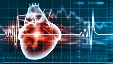 Kalp zarından aort kapağı (Protez kapak değil, hastanın kalp zarı kullanılıyor)