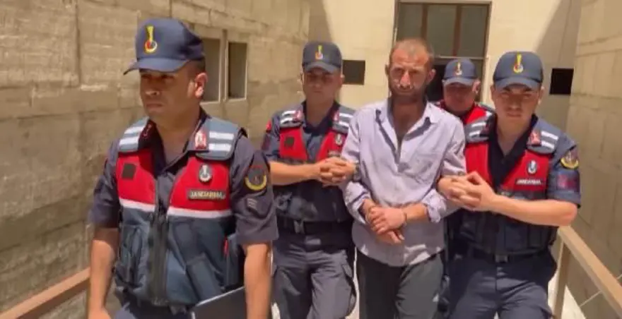 "Orman sevdalısıyım" dedi, orman yakmaktan 8 yıl 4 ay ceza aldı 1