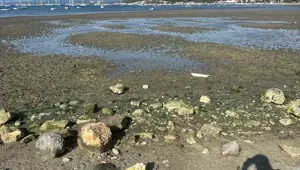 Ege'de deniz suyunda çekilme devam ediyor | Uzmanından açıklama: Depremlerle ilgisi var mı?