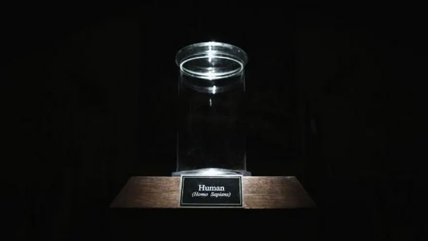 !f'te heyecan verici filmler 43