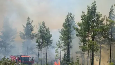 Mersin'de orman yangını