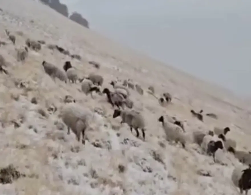Türkiye'nin en yüksek yerleşim yerlerinden biri: Mevsimin ilk karı düştü 2