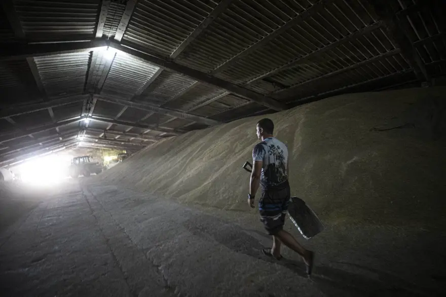 Tahıl gemilerinin limanlardan çıkışını bekleyen Ukraynalı çiftçilerden Türkiye'ye teşekkür 16