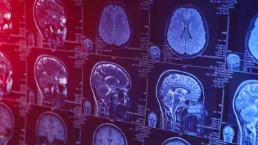 İnsan beyninin en verimli olduğu yaş belirlendi