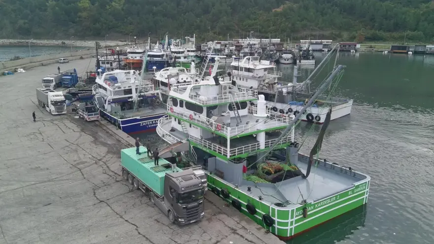 Tonlarca avladılar: Kasa kasa kamyonlara yüklendi 1 Tonlarca avladılar: Kasa kasa kamyonlara yüklendi 1