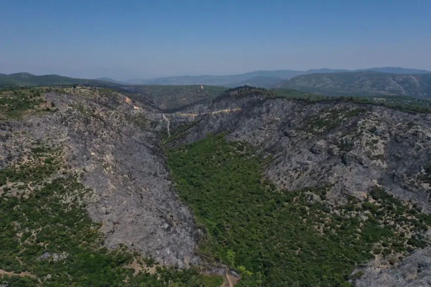 Menderes'teki orman yangınından geriye kalanlar 11