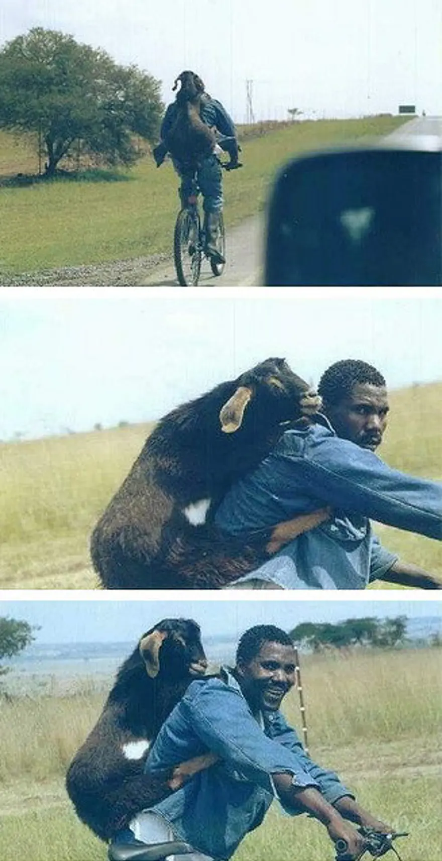 Pazar neşesi 26