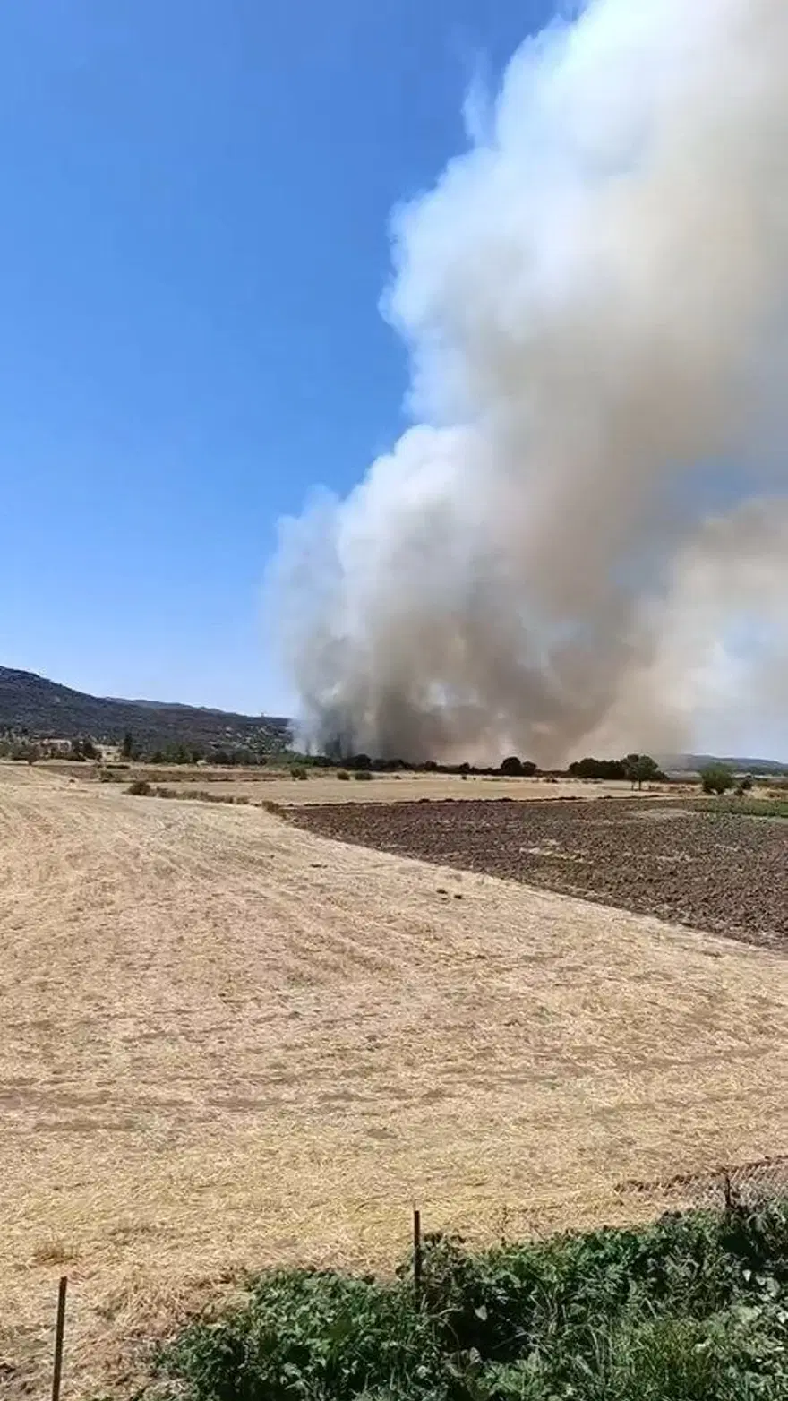 Diyarbakır'da dört noktada yangın: Müdahale sürüyor 1