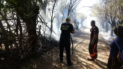 Çöpleri yakmak istedi: Meyve bahçelerini küle çevirdi