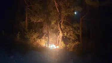 Adana'da 6 farklı noktada çıkan orman yangını söndürüldü