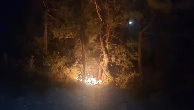 Adana'da 6 farklı noktada çıkan orman yangını söndürüldü