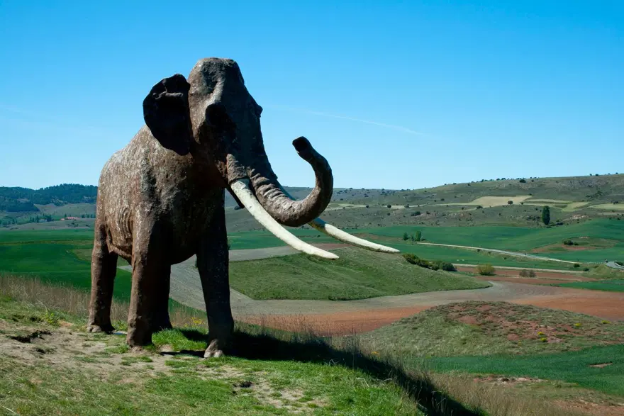 PALAEOLOXODON ANTİQUUS HAKKINDA 4 PALAEOLOXODON ANTİQUUS HAKKINDA 4