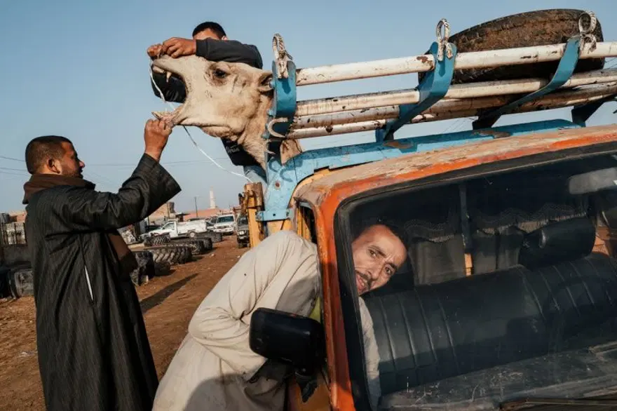 SienaUluslararası Fotoğraf Ödülleri sahiplerini buldu 3
