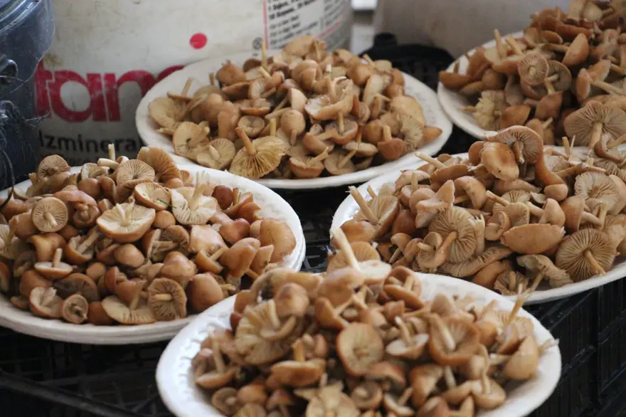 "KANLICAYA VATANDAŞ ÇOK RAĞBET GÖSTERİYOR" 4