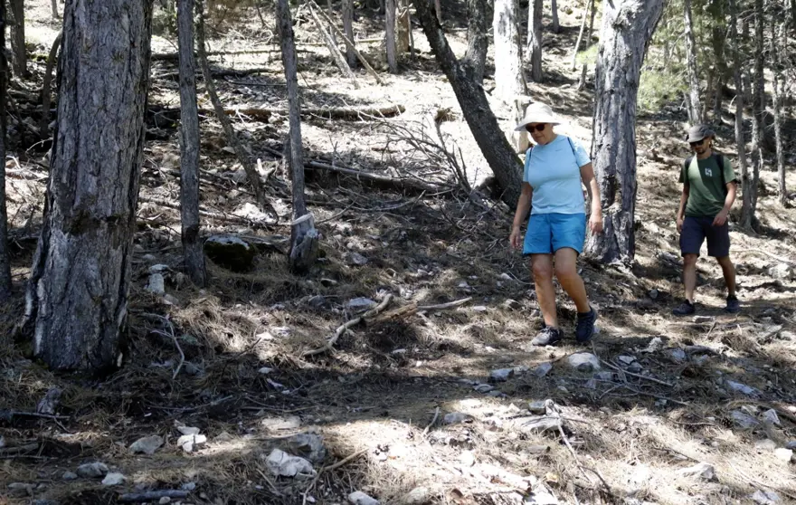 "YOLUN TAMAMLANMASI 27-28 GÜN SÜRÜYOR" 9