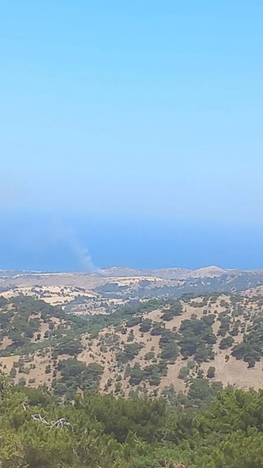 Çanakkale'de makilik alanda korkutan yangın 4 Çanakkale'de makilik alanda korkutan yangın 4