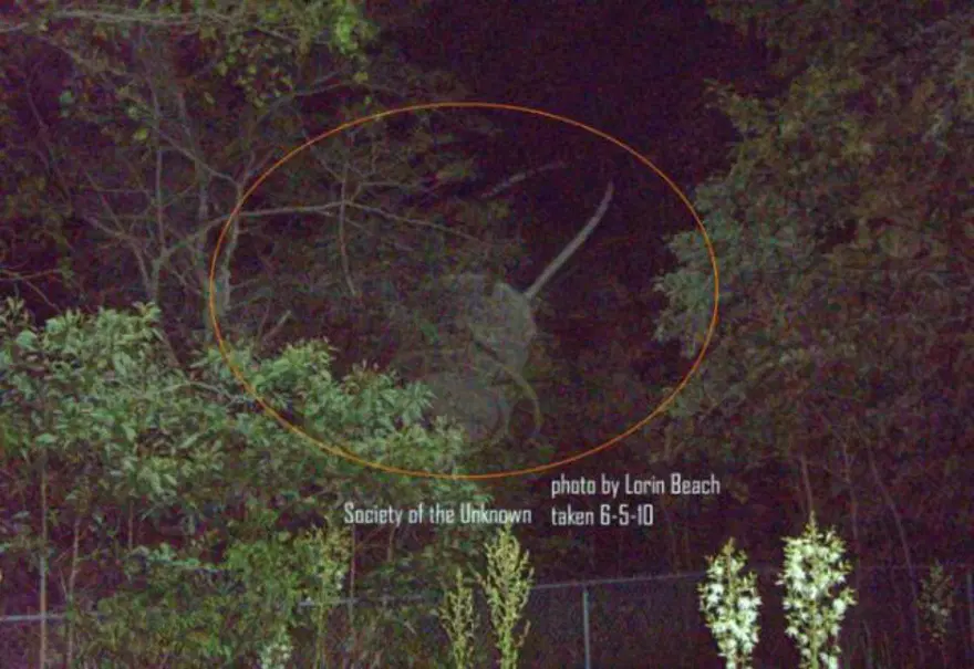Strange Object Richland Missouri, ABD 69