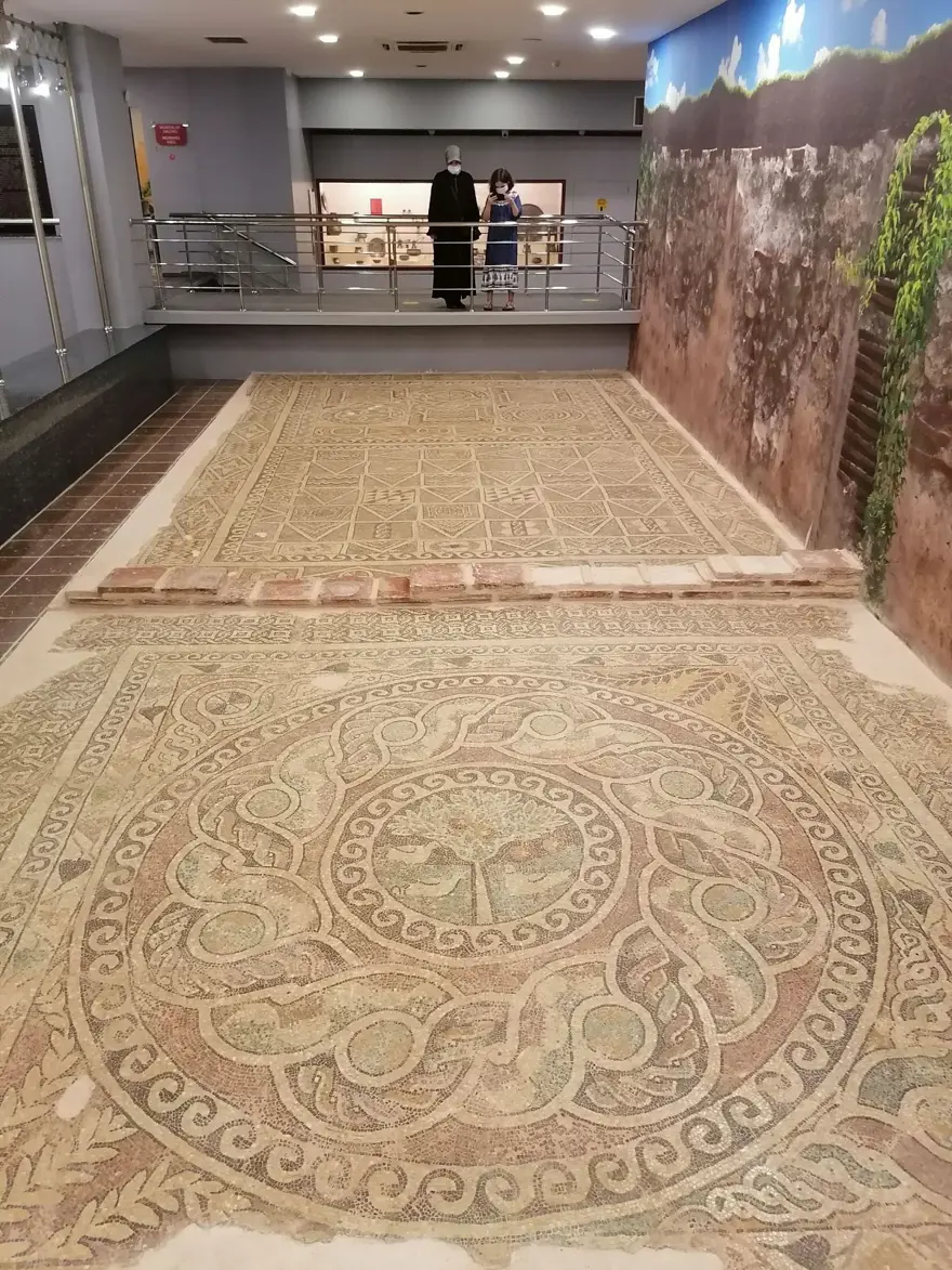 1800 yıllık elma mozaiği sergilenmeye başladı 10 1800 yıllık elma mozaiği sergilenmeye başladı 10