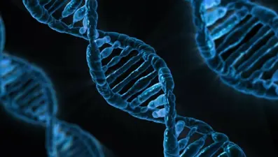 İnsan DNA'sında gizli bir zayıf nokta keşfedildi. "Mozaik mutasyonları" tetikliyor