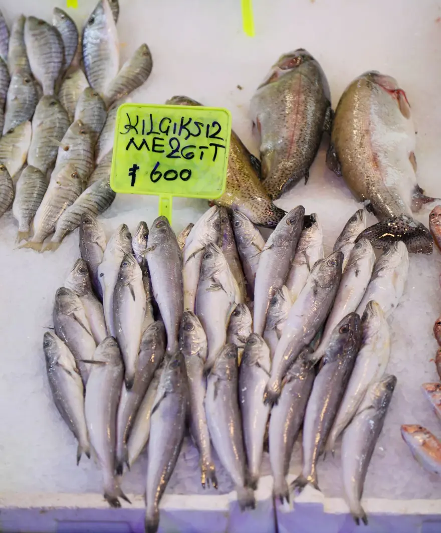 "300 LİRAYA SATILAN BALIK, BALON BALIĞI OLABİLİR" 4