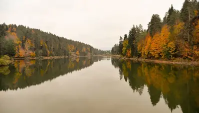 'Göletler Diyarı' Pazaryeri sonbahar renklerine büründü